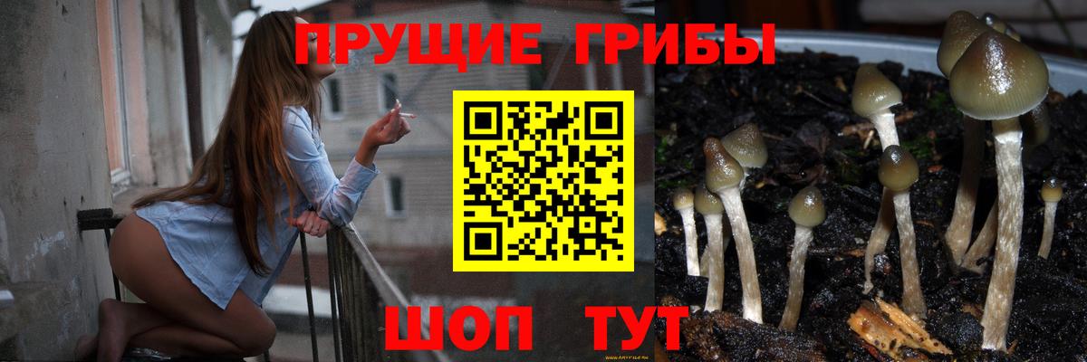 Галлюциногенные грибы MAGIC MUSHROOMS  Вход с VPN  Нарткала 